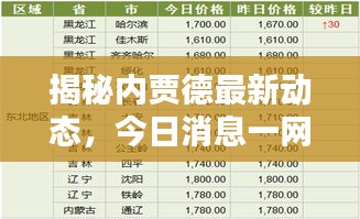 揭秘内贾德最新动态，今日消息一网打尽