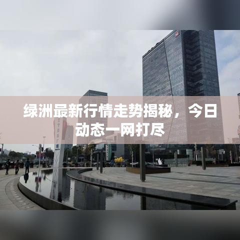 绿洲最新行情走势揭秘，今日动态一网打尽