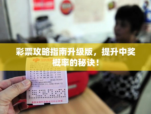 彩票攻略指南升级版，提升中奖概率的秘诀！