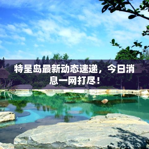 特呈岛最新动态速递，今日消息一网打尽！