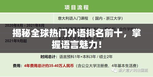 揭秘全球热门外语排名前十，掌握语言魅力！