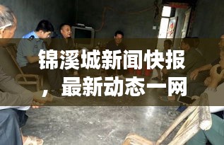 锦溪城新闻快报，最新动态一网打尽
