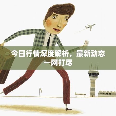 今日行情深度解析，最新动态一网打尽