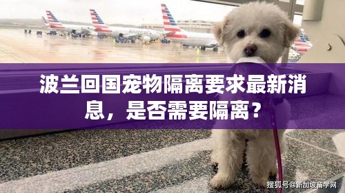 波兰回国宠物隔离要求最新消息，是否需要隔离？