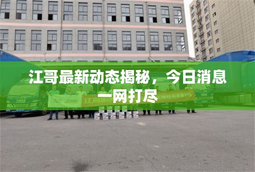 贵险贱璧