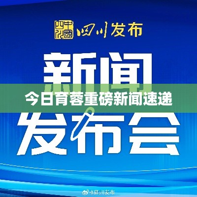 今日育蓉重磅新闻速递