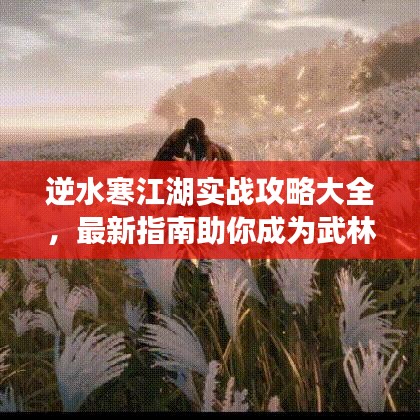 逆水寒江湖实战攻略大全，最新指南助你成为武林高手！