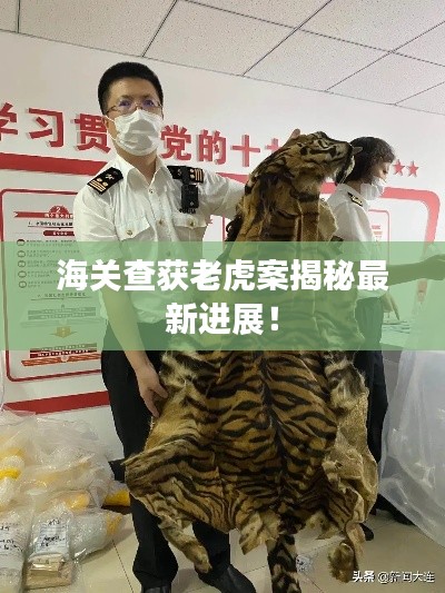 海关查获老虎案揭秘最新进展！
