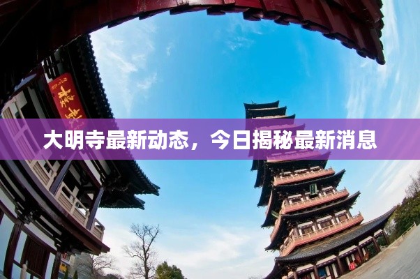 大明寺最新动态，今日揭秘最新消息