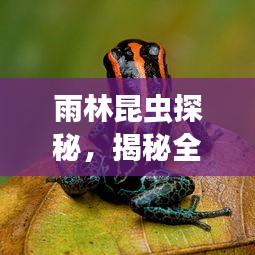 雨林昆虫探秘，揭秘全球十大珍稀昆虫排行榜！