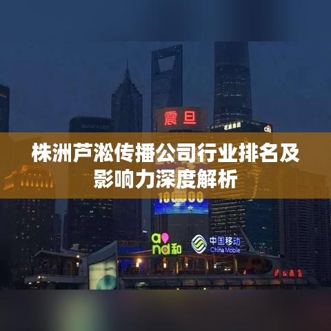 株洲芦淞传播公司行业排名及影响力深度解析