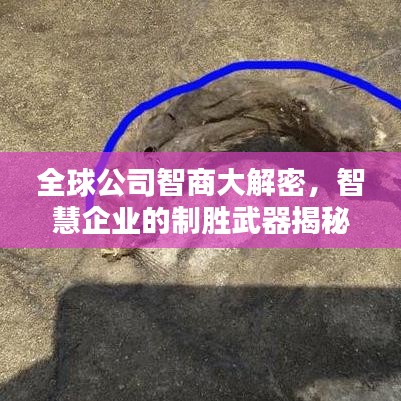 全球公司智商大解密，智慧企业的制胜武器揭秘