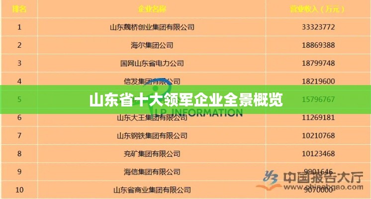 山东省十大领军企业全景概览