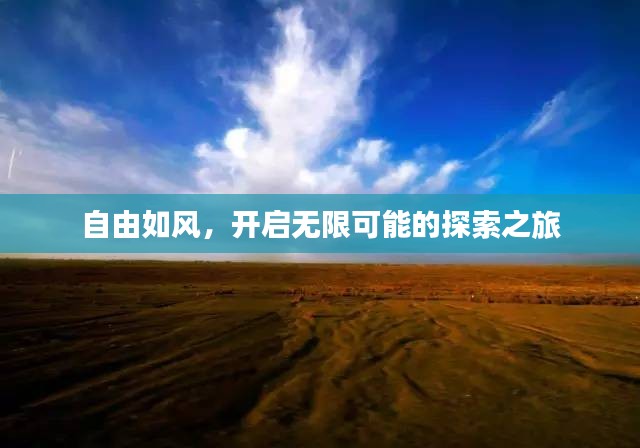 自由如风，开启无限可能的探索之旅