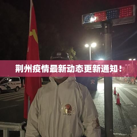 荆州疫情最新动态更新通知！