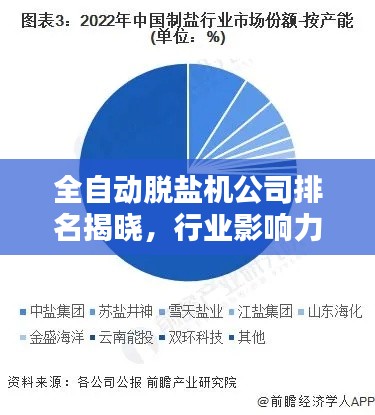 全自动脱盐机公司排名揭晓，行业影响力榜单及领先企业解析