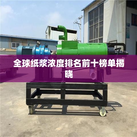 全球纸浆浓度排名前十榜单揭晓