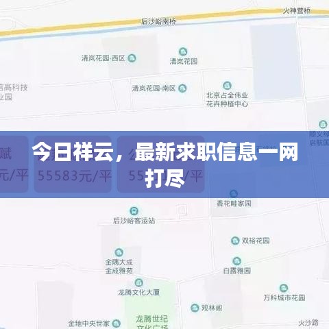 今日祥云，最新求职信息一网打尽