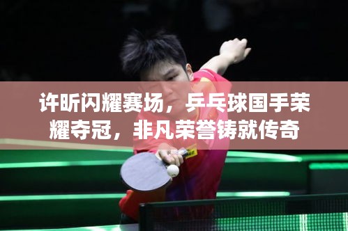 许昕闪耀赛场，乒乓球国手荣耀夺冠，非凡荣誉铸就传奇