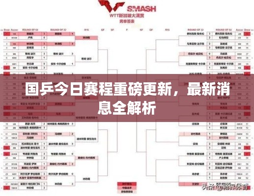 国乒今日赛程重磅更新，最新消息全解析