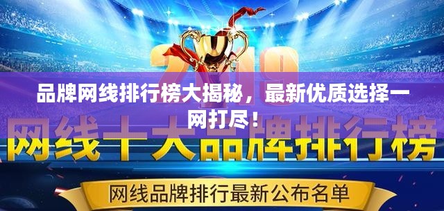 品牌网线排行榜大揭秘，最新优质选择一网打尽！