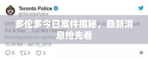 多伦多今日案件揭秘，最新消息抢先看