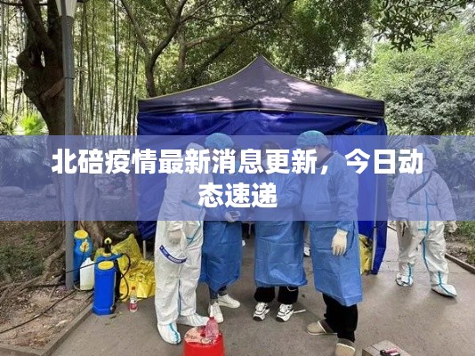 北碚疫情最新消息更新，今日动态速递