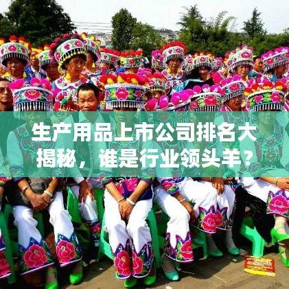 生产用品上市公司排名大揭秘，谁是行业领头羊？