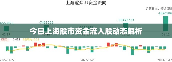 今日上海股市资金流入股动态解析