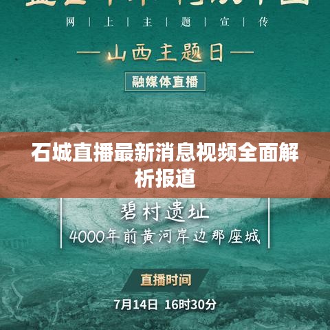 石城直播最新消息视频全面解析报道