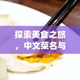 探索美食之旅，中文菜名与英语翻译全攻略