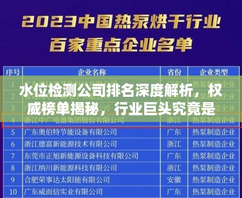 水位检测公司排名深度解析，权威榜单揭秘，行业巨头究竟是谁？