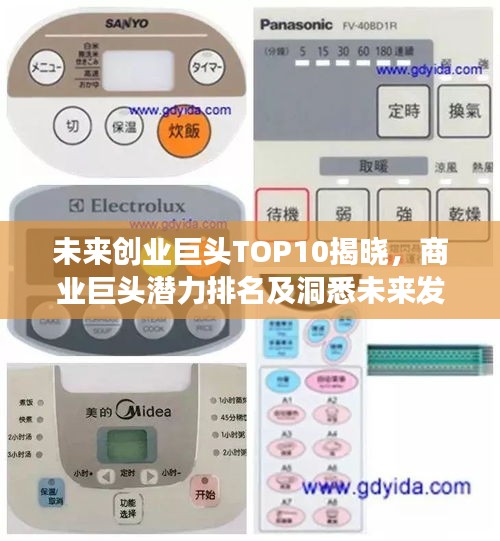 未来创业巨头TOP10揭晓，商业巨头潜力排名及洞悉未来发展动态