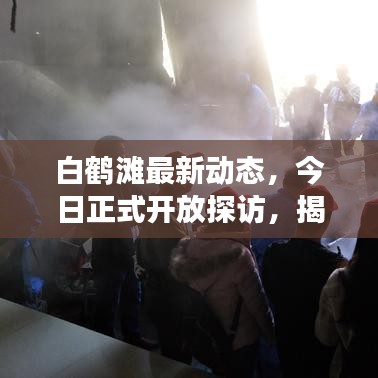 白鹤滩最新动态，今日正式开放探访，揭秘工程新进展！