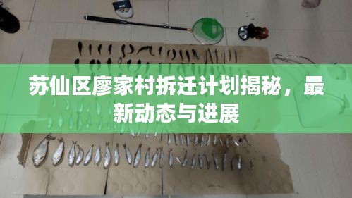 苏仙区廖家村拆迁计划揭秘，最新动态与进展