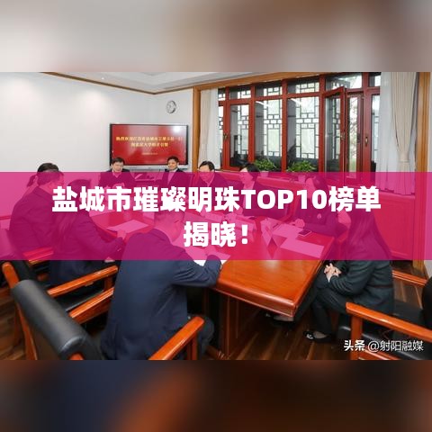 盐城市璀璨明珠TOP10榜单揭晓！