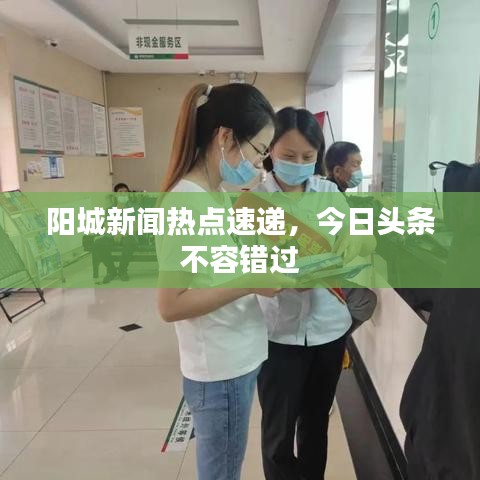 阳城新闻热点速递，今日头条不容错过
