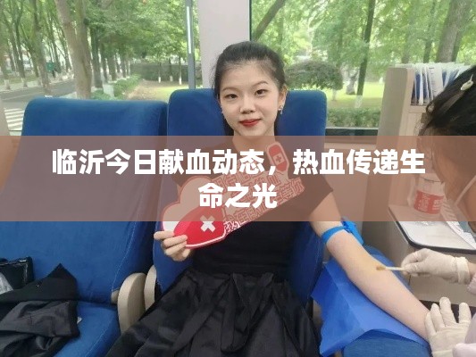 临沂今日献血动态，热血传递生命之光