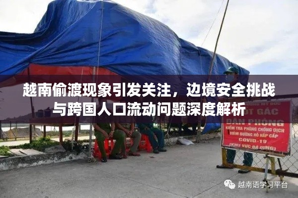 越南偷渡现象引发关注，边境安全挑战与跨国人口流动问题深度解析