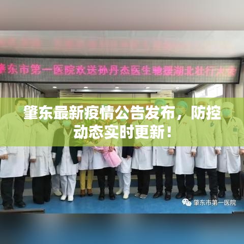 肇东最新疫情公告发布，防控动态实时更新！