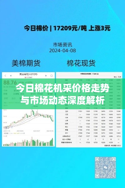 今日棉花机采价格走势与市场动态深度解析