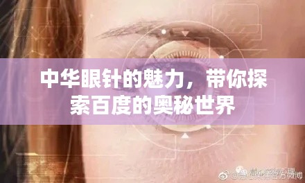 中华眼针的魅力，带你探索百度的奥秘世界