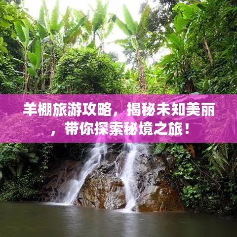 羊棚旅游攻略，揭秘未知美丽，带你探索秘境之旅！