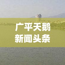 广平天鹅新闻头条，生态和谐与地域魅力的独特展现