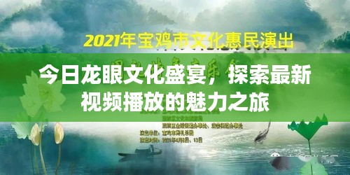 今日龙眼文化盛宴，探索最新视频播放的魅力之旅
