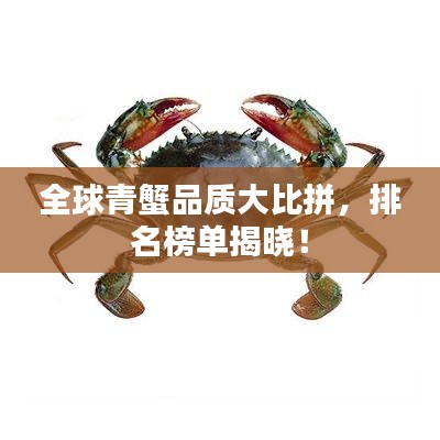 全球青蟹品质大比拼，排名榜单揭晓！