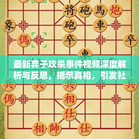 最新弃子攻杀事件视频深度解析与反思，揭示真相，引发社会思考