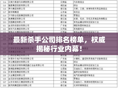 最新杀手公司排名榜单，权威揭秘行业内幕！