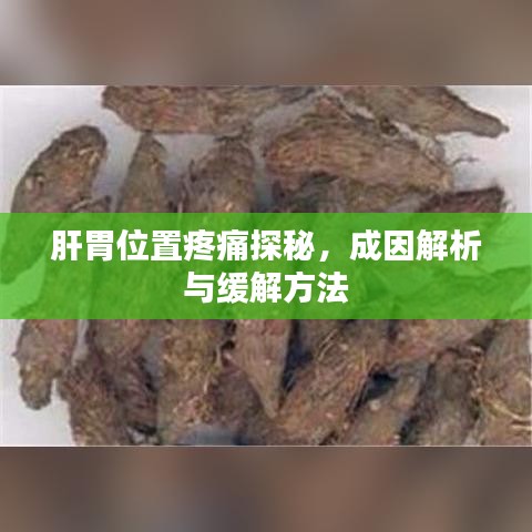 肝胃位置疼痛探秘，成因解析与缓解方法