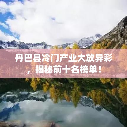 丹巴县冷门产业大放异彩，揭秘前十名榜单！